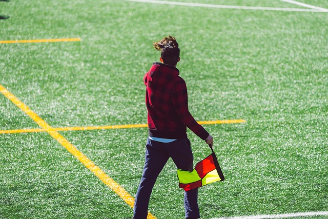 他们共同努 他们共同努