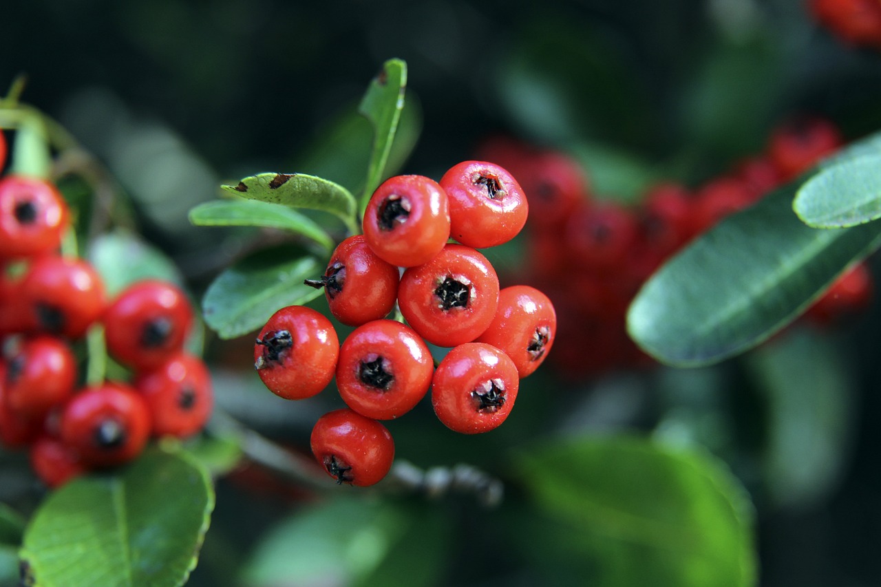 在本赛季的 在本赛季的