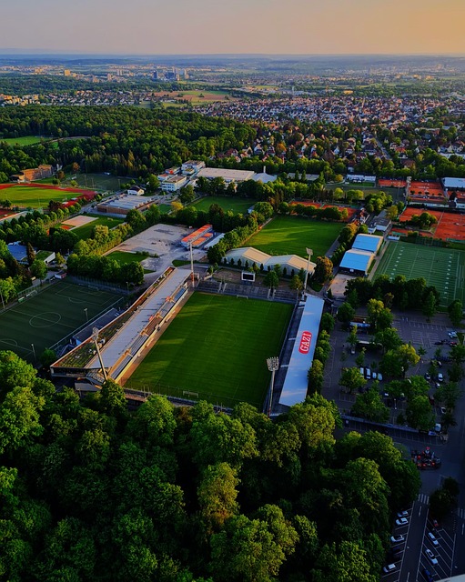 但由于球员 但由于球员