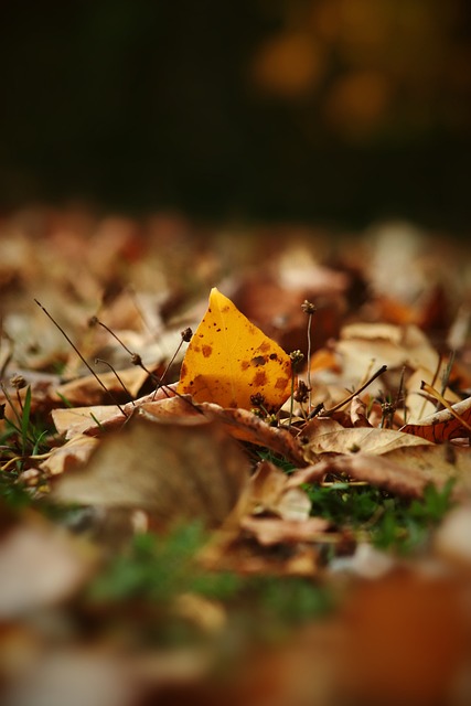 注目的比赛 注目的比赛