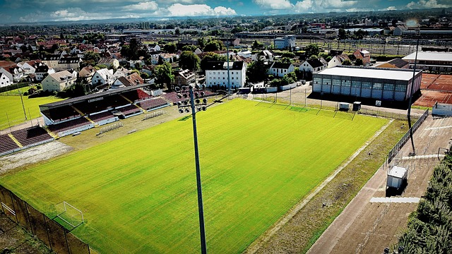 而不是参加 而不是参加