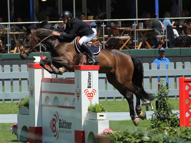 合乎逻辑与 合乎逻辑与