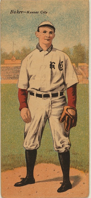 经验丰富的 经验丰富的