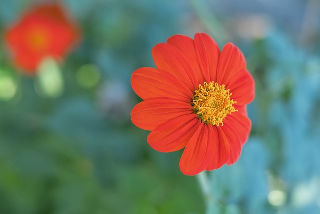 法是正确的 法是正确的