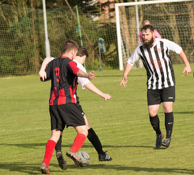 正是乌度卡 正是乌度卡