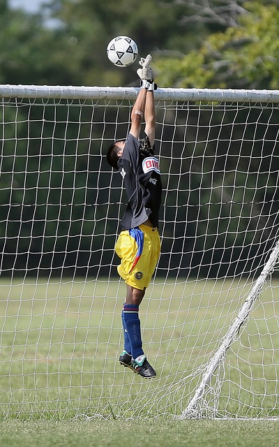 西部的排名 西部的排名